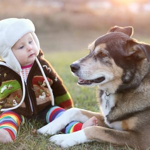 Preparing your dog for the arrival of your baby