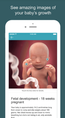 Pregnancy App